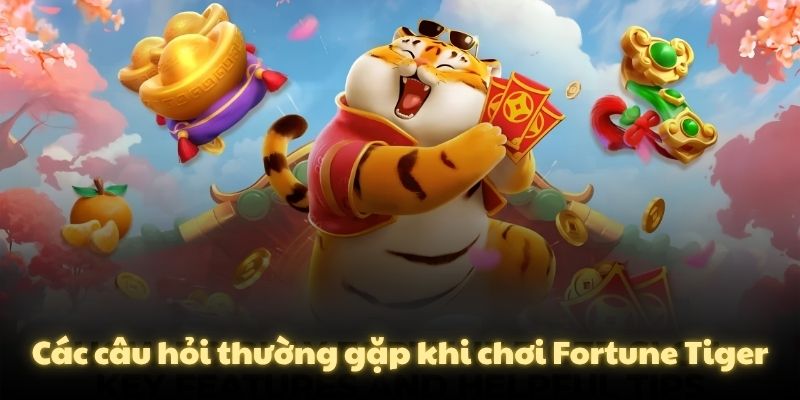 Các câu hỏi thường gặp khi chơi Fortune Tiger